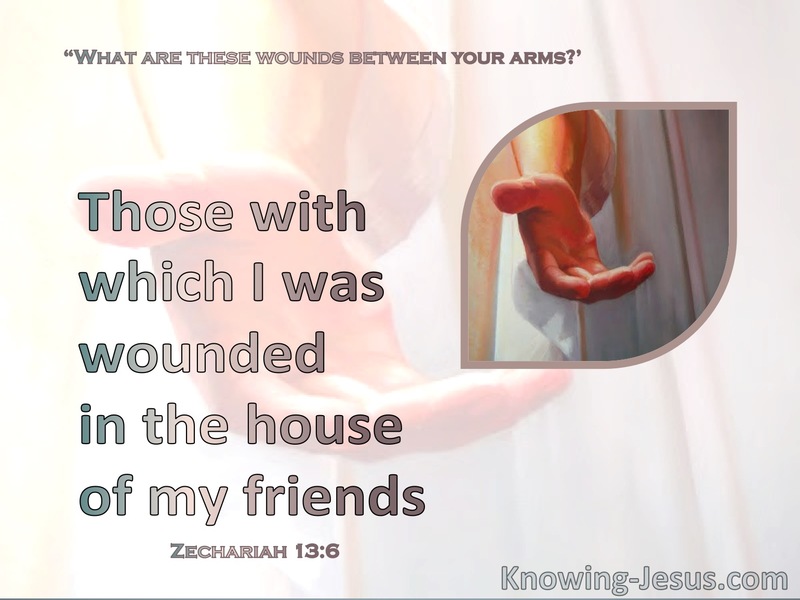 Zechariah 13:6 Whose With Which I Was Wounded In The House Of My Friends (pink)